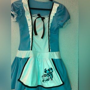 Alice wonderland costume
